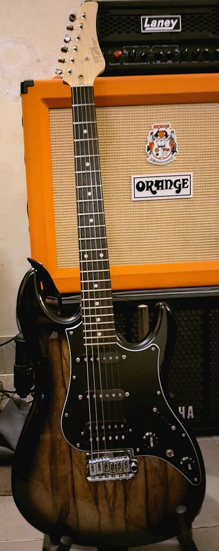 FGN-DM-4.jpg