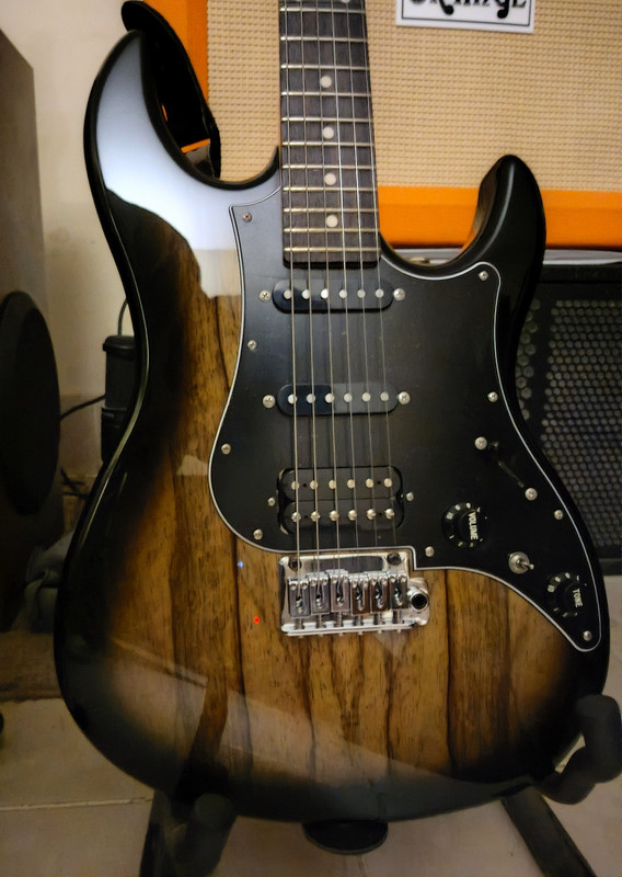 FGN-DM-2.jpg