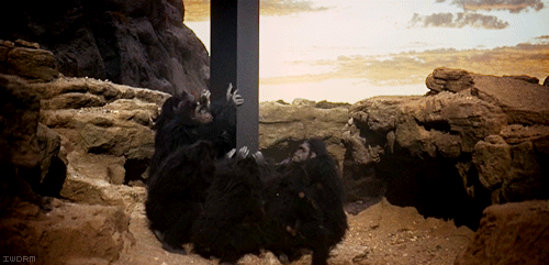 7vIm.gif