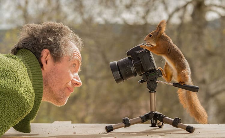squirrel-photos-geert-weggen-42.jpg