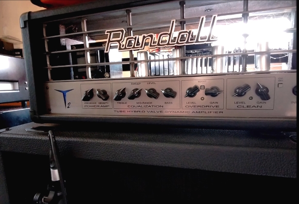 Randall-T2-HL-Peavey-4x12.jpg