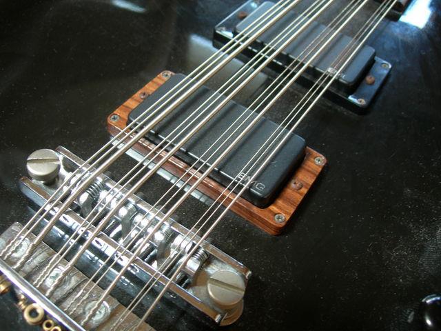 12string_bass.jpg