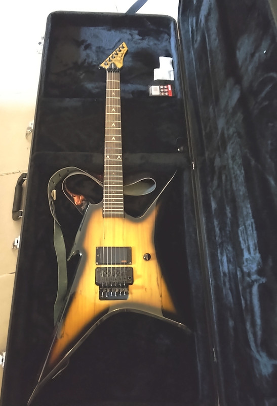 BC-Rich-Ironbird-Case-1.jpg