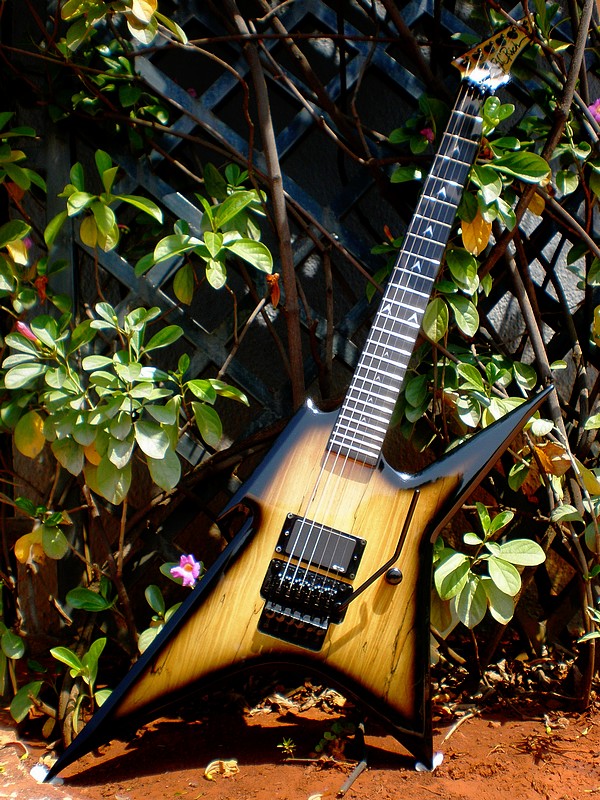 Ironbird-Pro.jpg