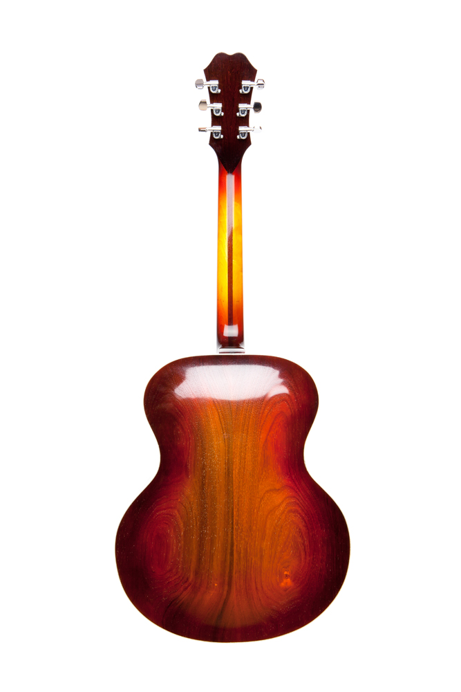 octiganguitarswarmredback.jpg