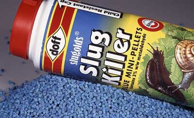slug+pellets.jpg