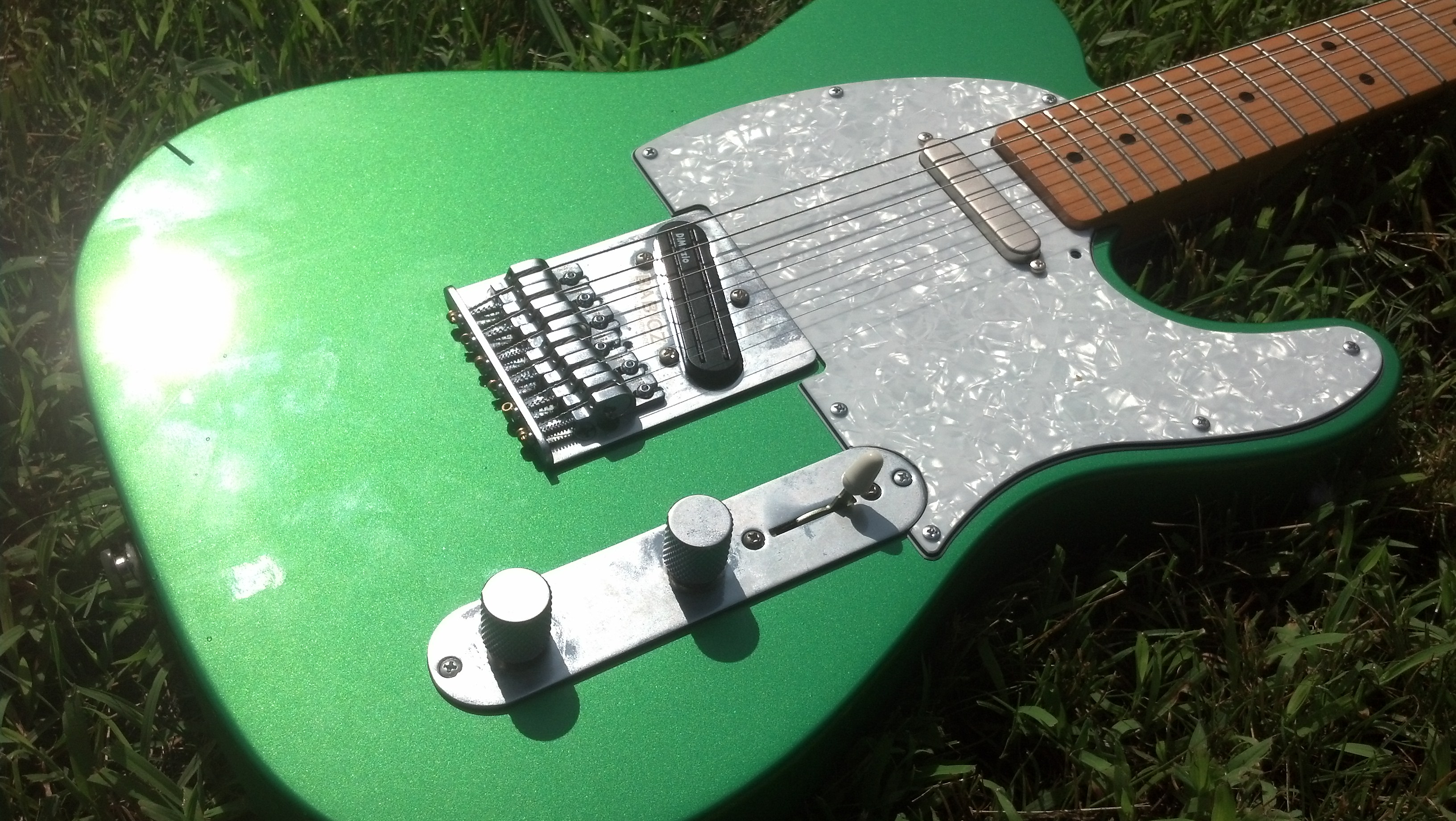 IMG_20130706_094841_288.jpg