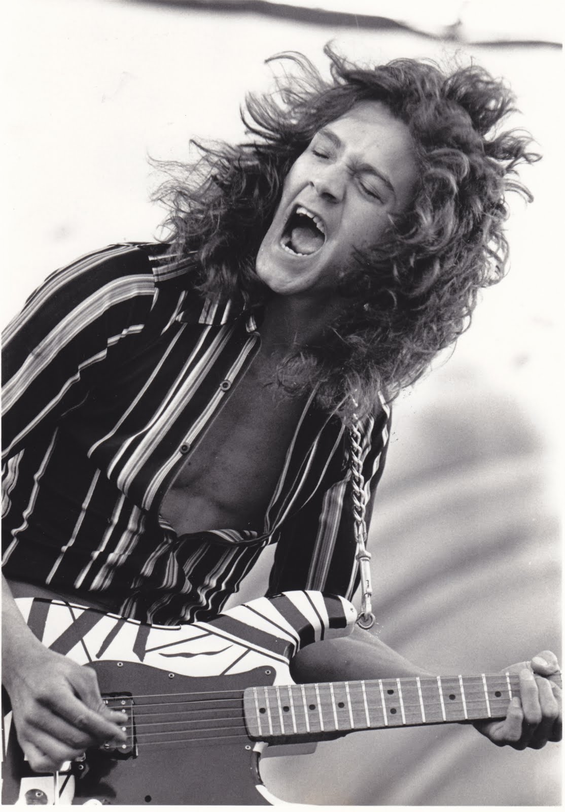 Eddie+side+shot.jpg