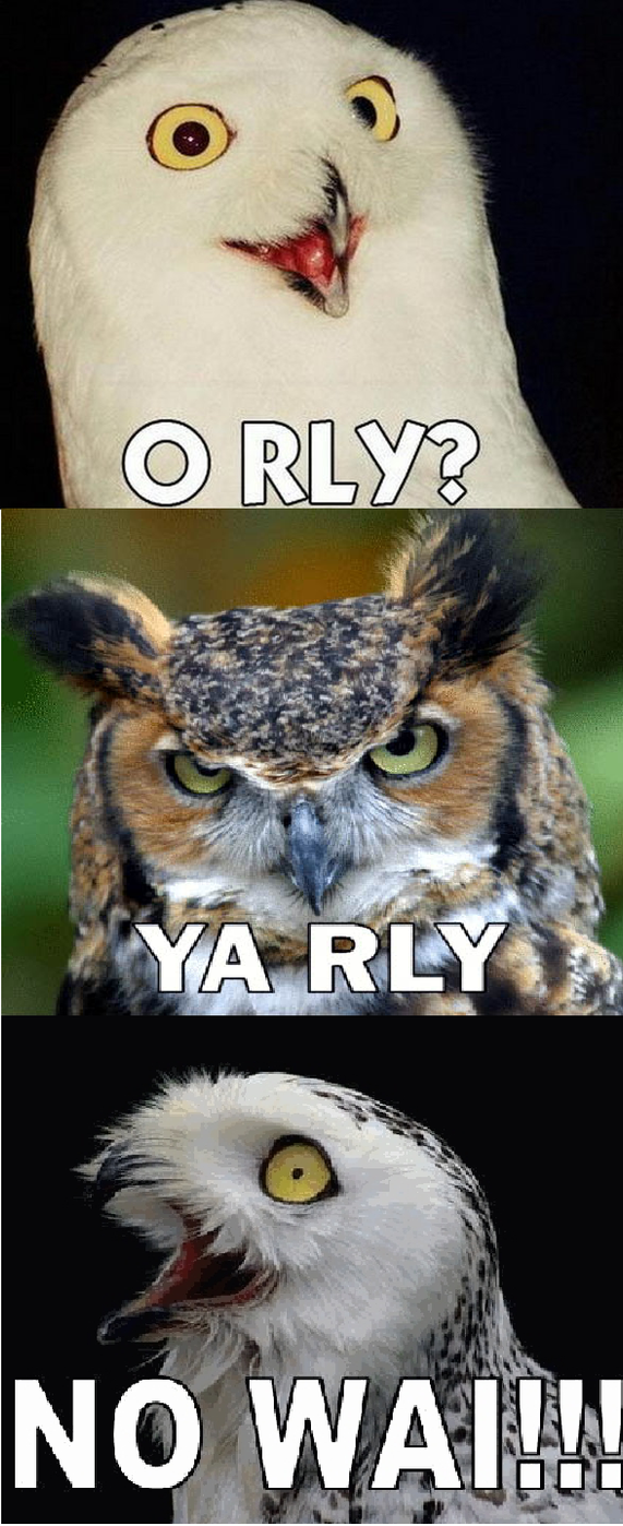 o_rly_ya_rly_no_wai_by_wolf_dark_moon-d3bbfaq.png