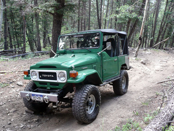 hulk01.jpg