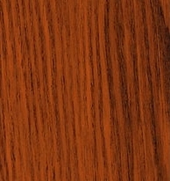 Indian-Walnut-Zoom-bigger.jpg