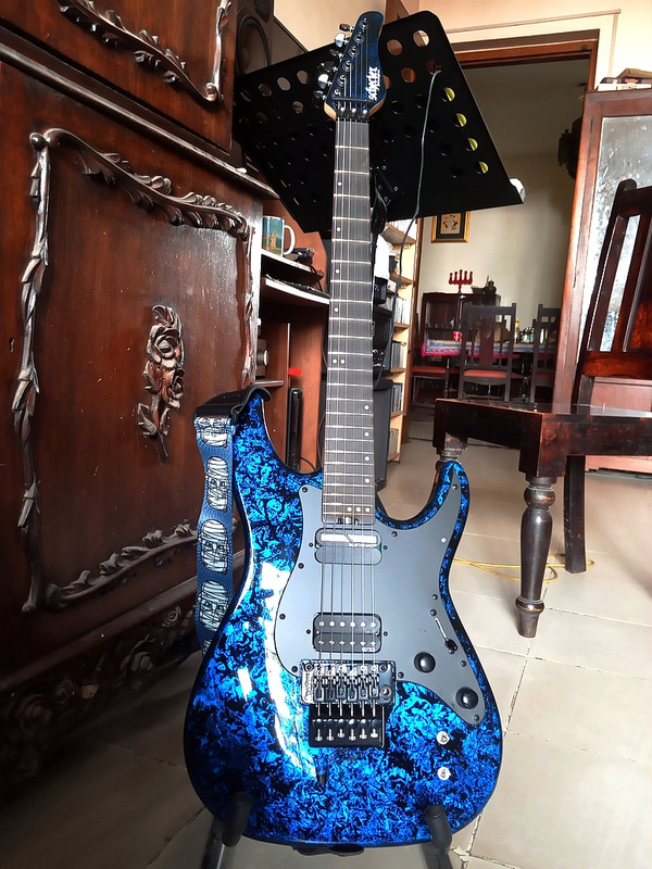 Schecter-1.jpg