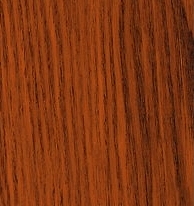 Indian-Walnut-Zoom.jpg